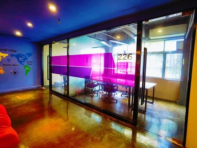 云南富源白魔芋种子什么时候播种