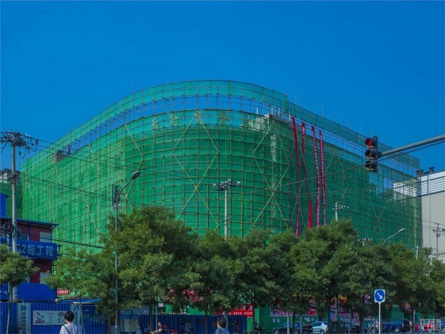 云南富源白魔芋种子什么时候播种